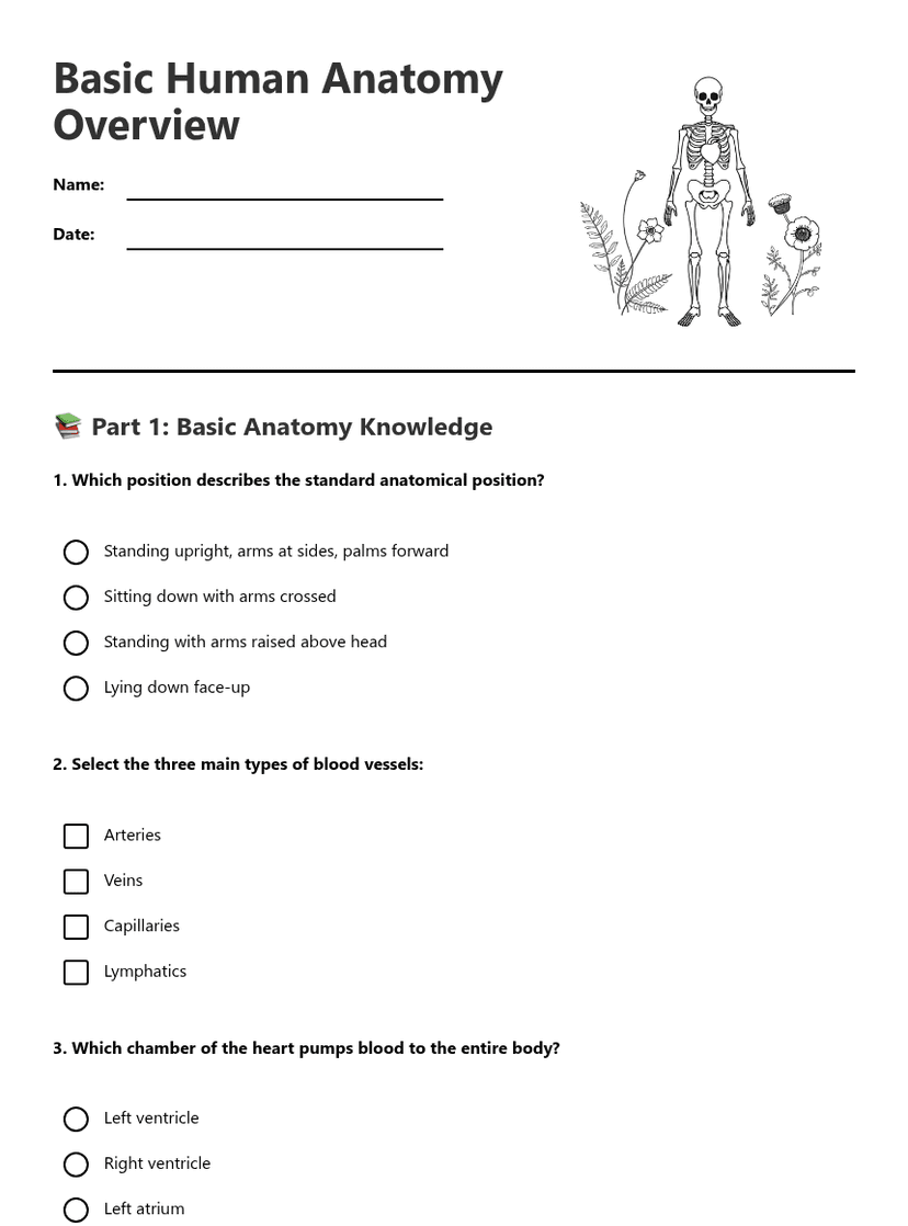 Basic Human Anatomy Overview