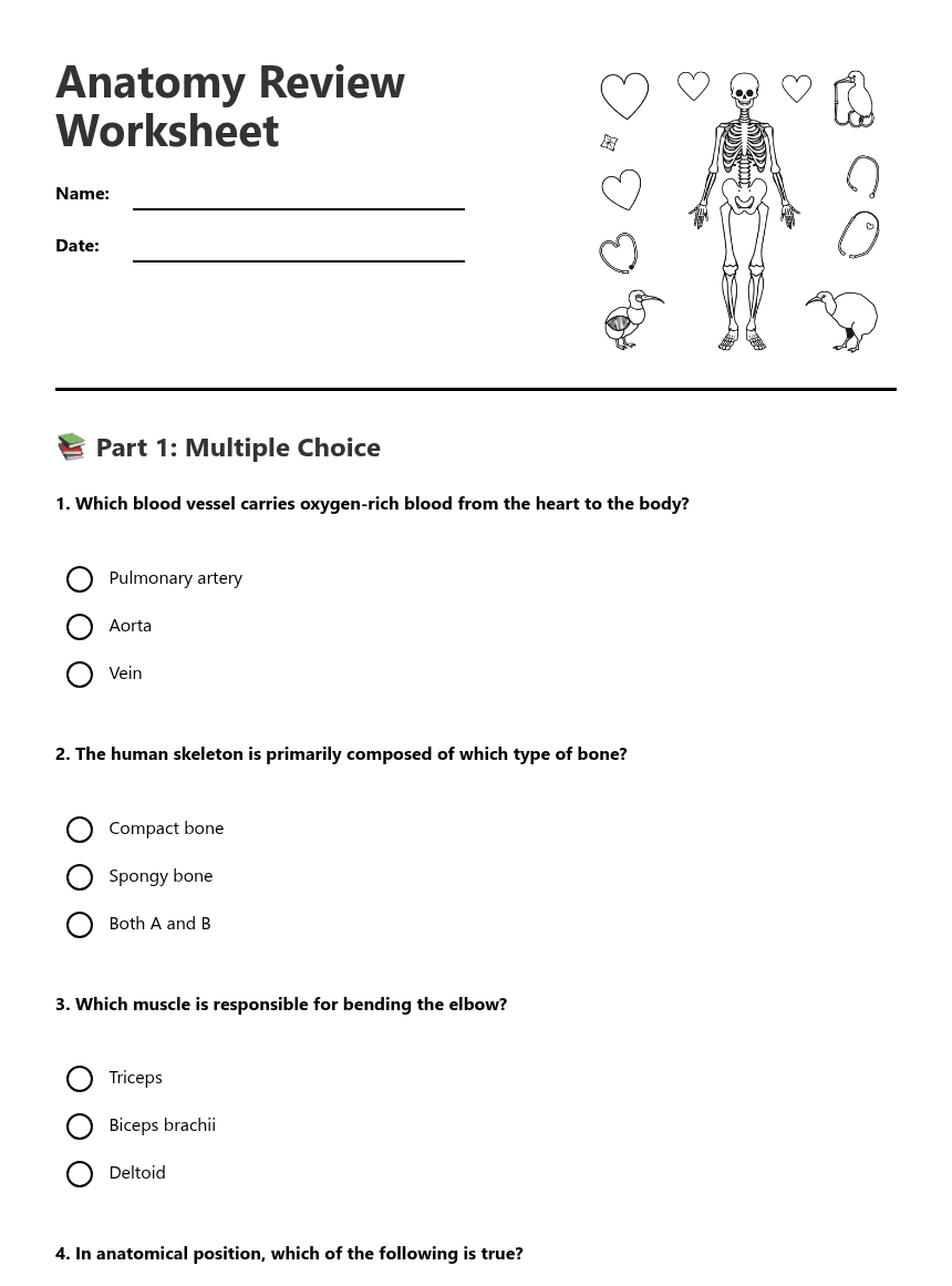 Anatomy Review Worksheet worksheet preview
