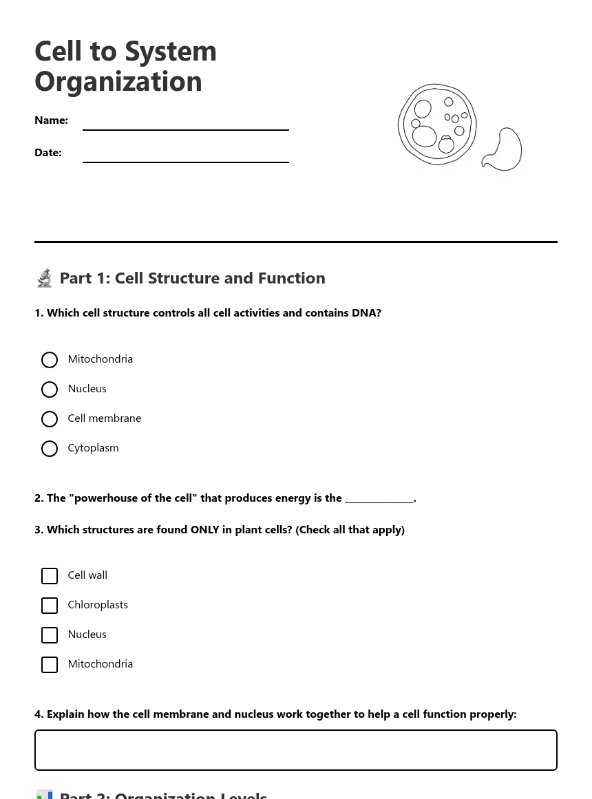 Cell to System Organization worksheet preview