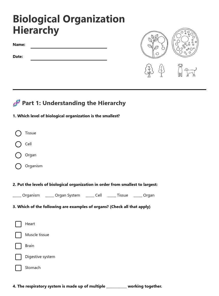 Biological Organization Hierarchy worksheet preview