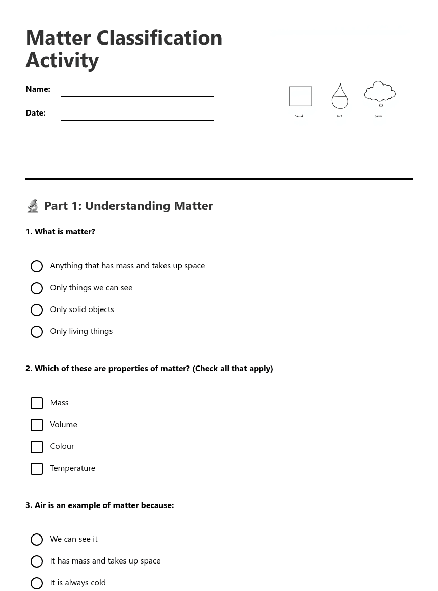 Matter Classification Activity worksheet preview