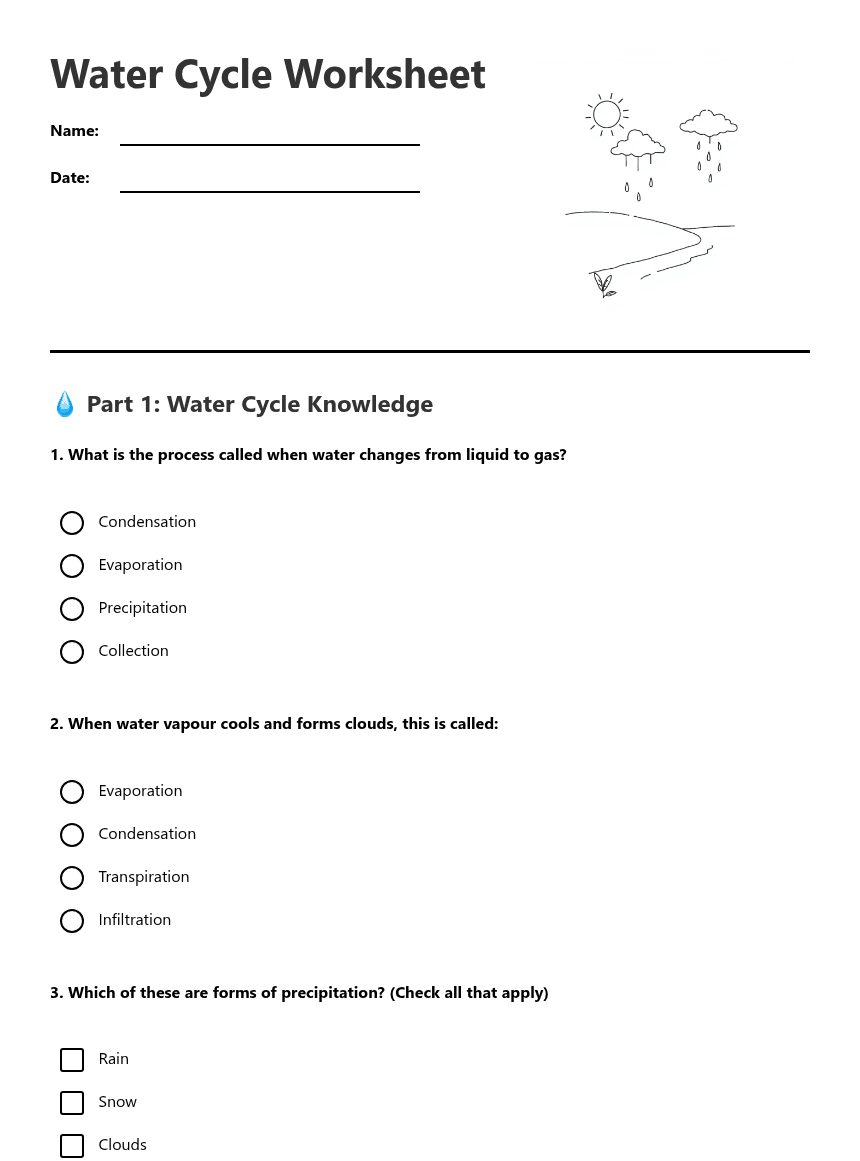 Water Cycle Worksheet worksheet preview