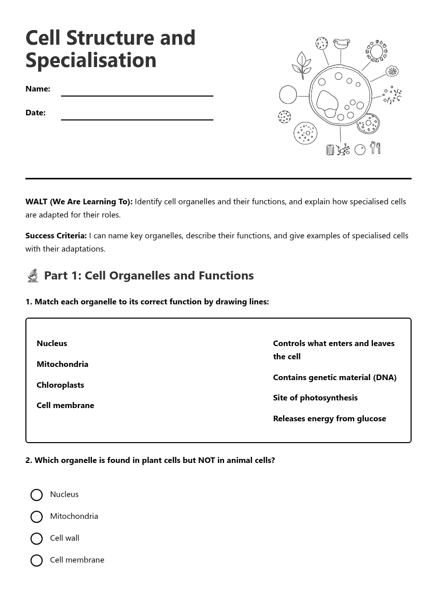 Cell Structure and Specialisation worksheet preview