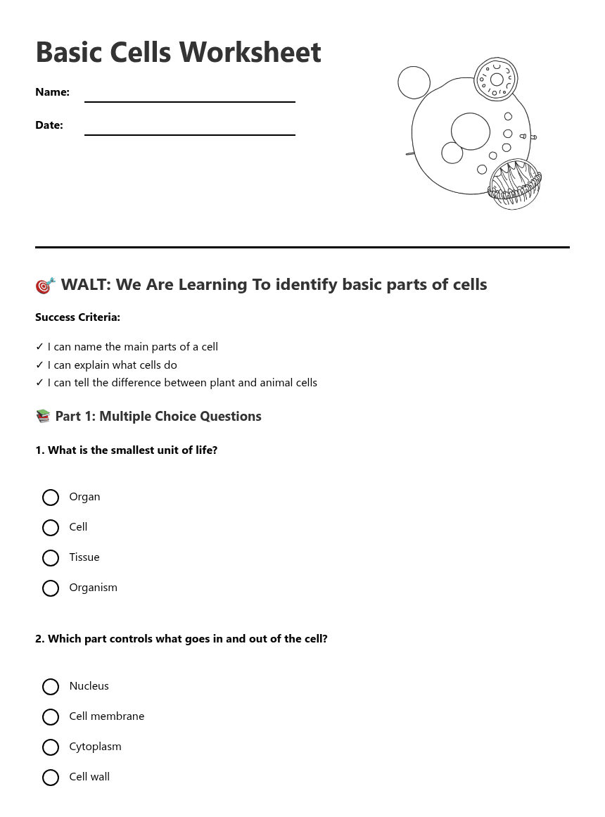 Basic Cells Worksheet worksheet preview