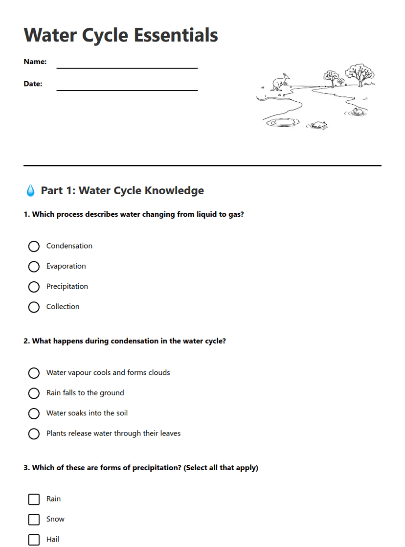 Water Cycle Essentials