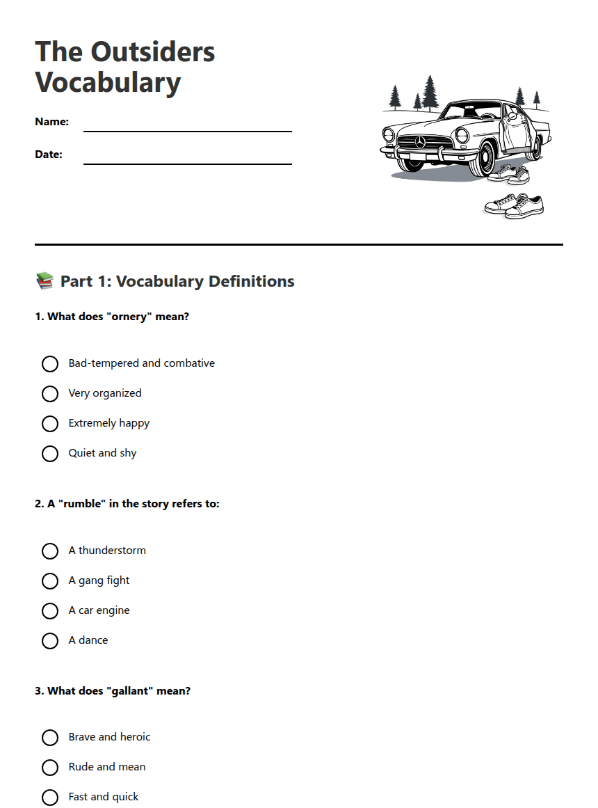 The Outsiders Vocabulary worksheet preview