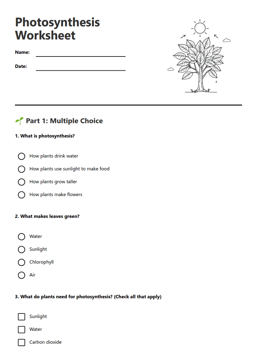 Photosynthesis Worksheet