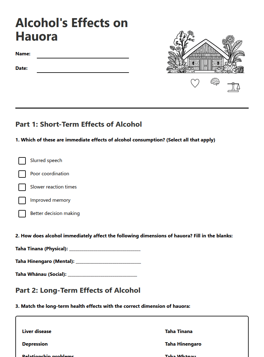 Alcohol's Effects on Hauora worksheet preview