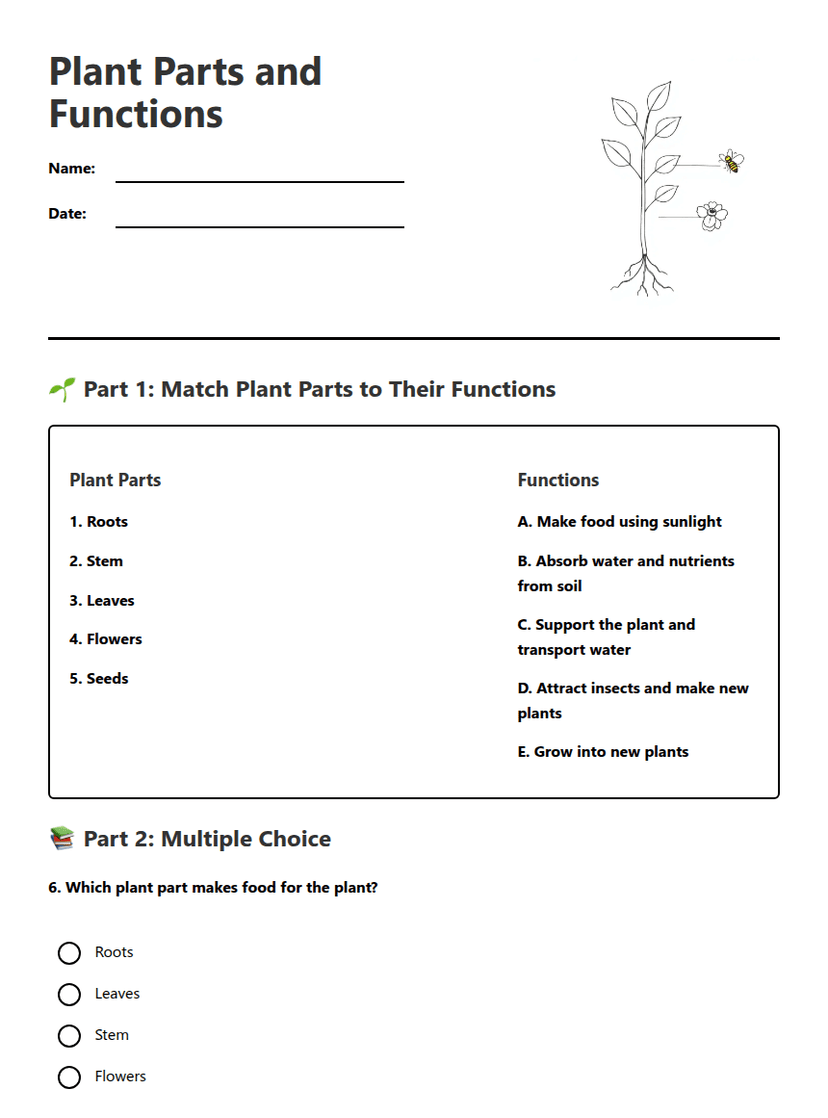 Plant Parts and Functions