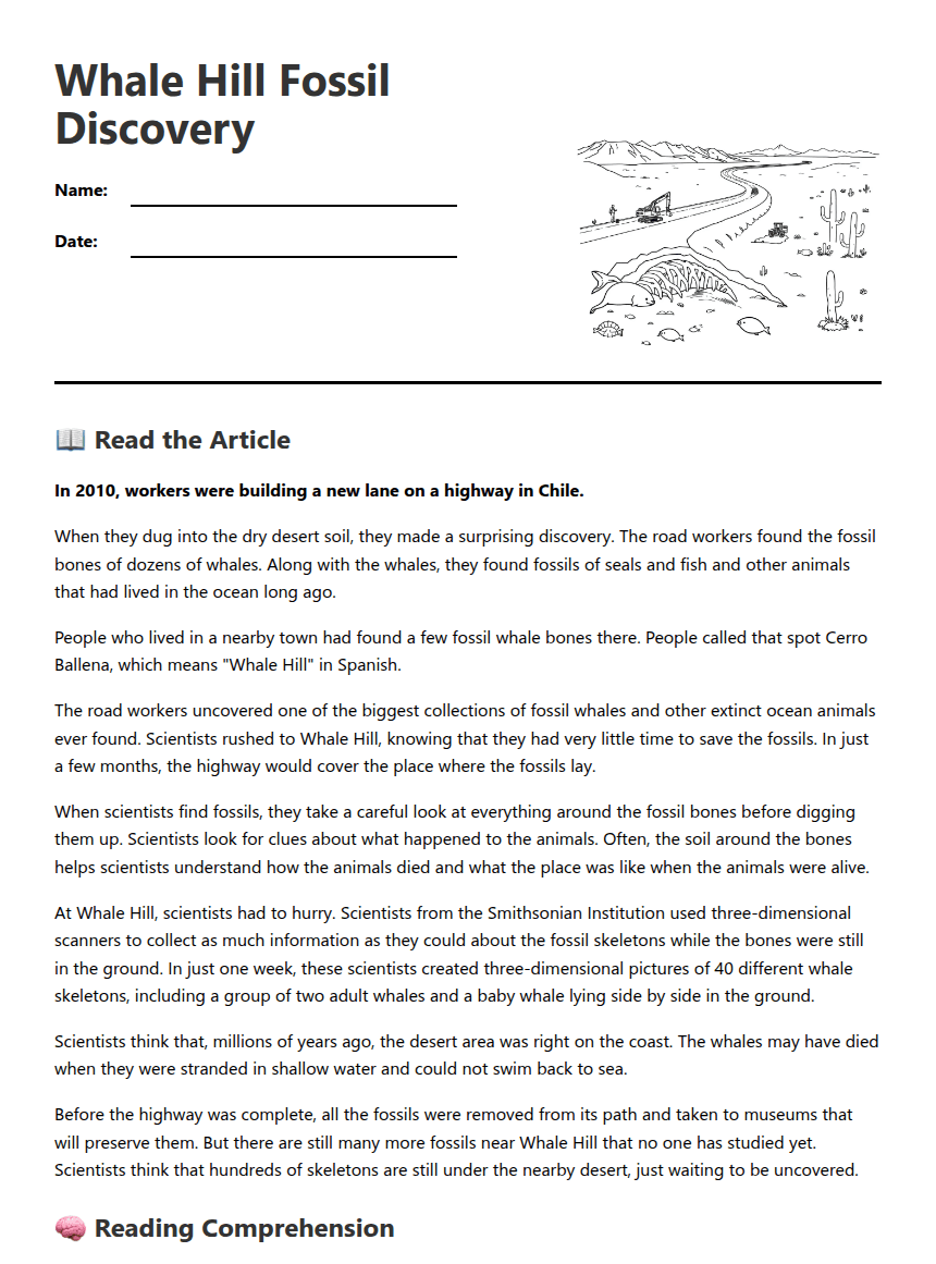 Whale Hill Fossil Discovery worksheet preview