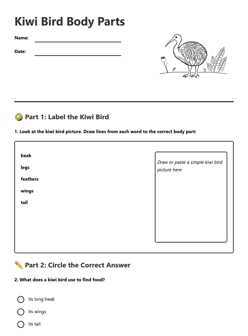 Kiwi Bird Body Parts