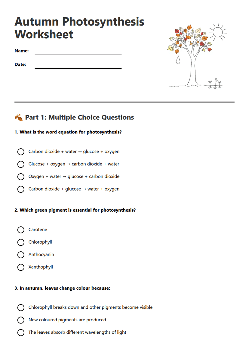 Autumn Photosynthesis Worksheet