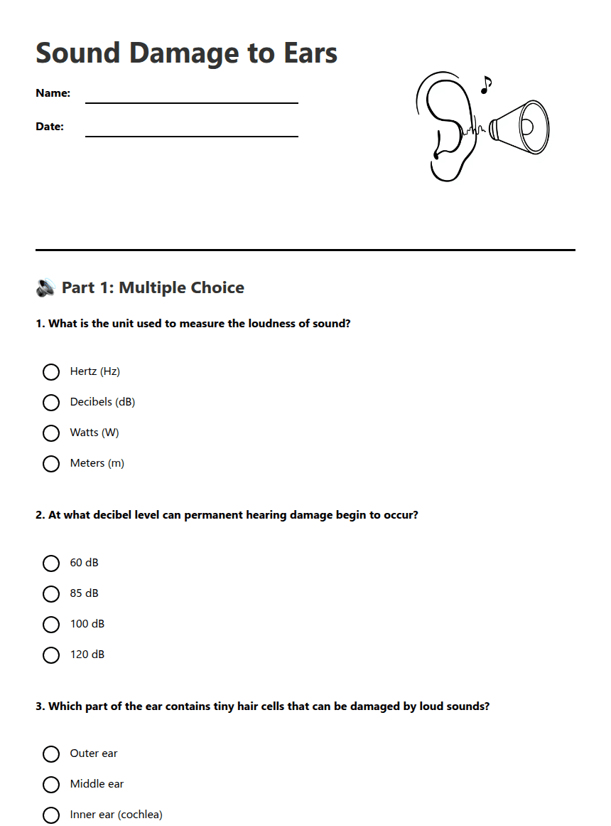 Sound Damage to Ears worksheet preview