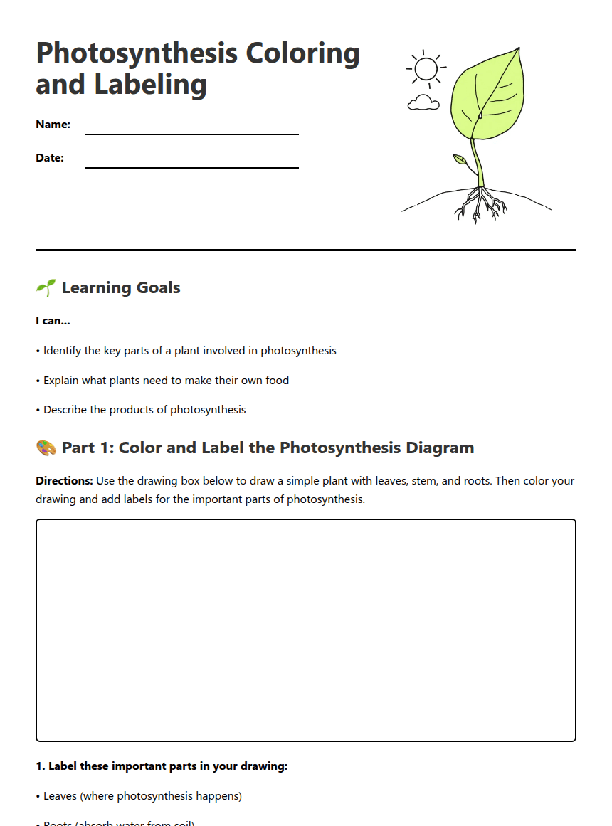 Photosynthesis Coloring and Labeling worksheet preview