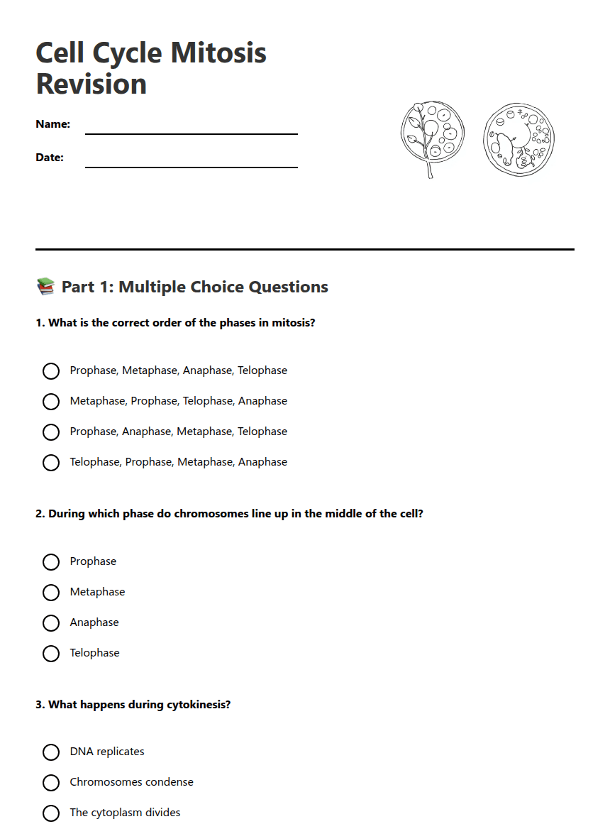 Cell Cycle Mitosis Revision worksheet preview