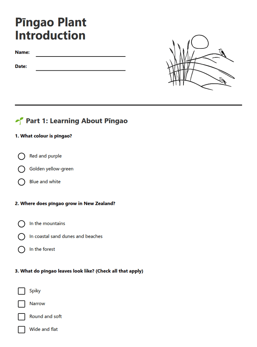 Pīngao Plant Introduction