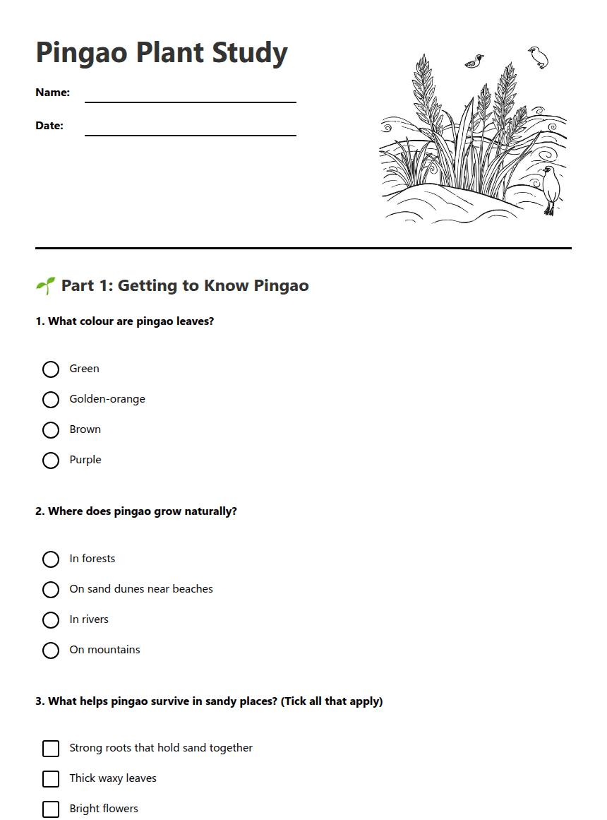 Pingao Plant Study worksheet preview
