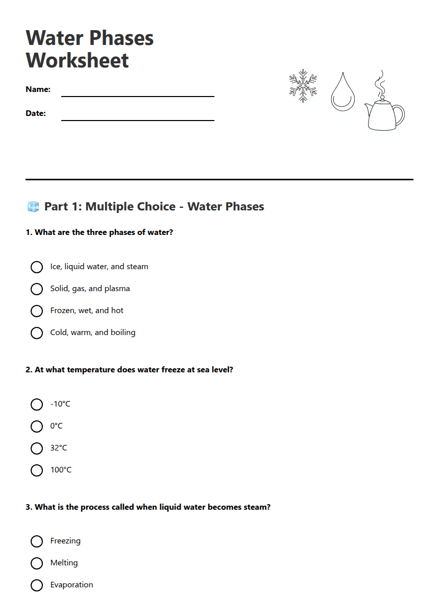 Water Phases Worksheet worksheet preview