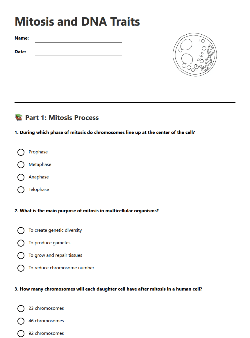 Mitosis and DNA Traits worksheet preview