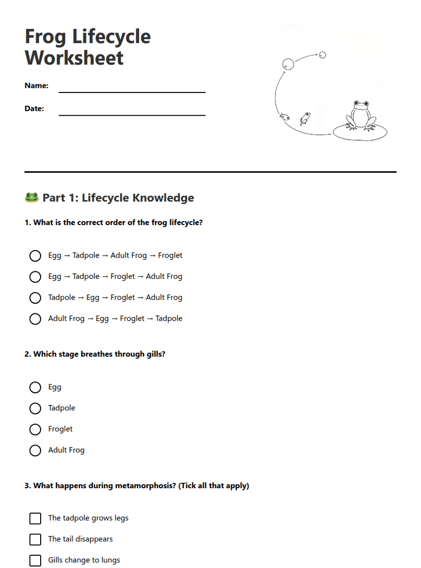 Frog Lifecycle Worksheet