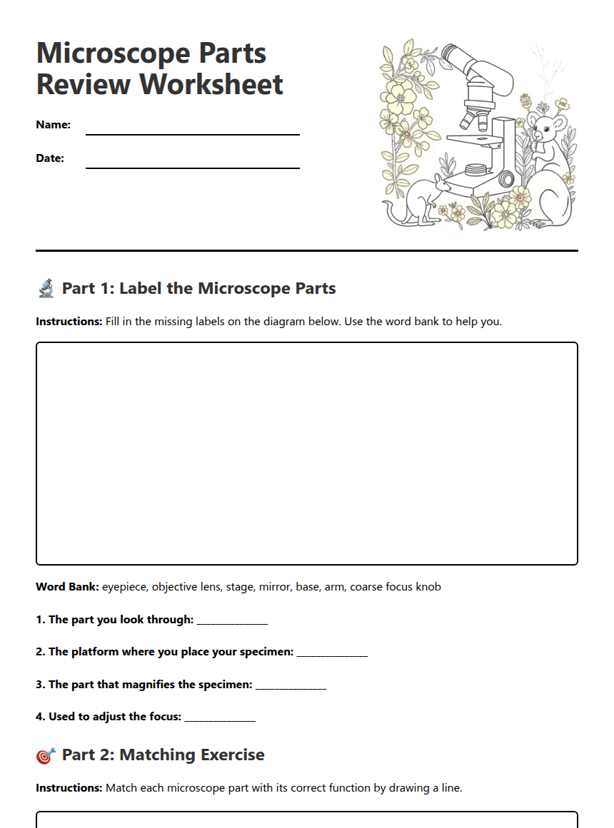 Microscope Parts Review Worksheet worksheet preview