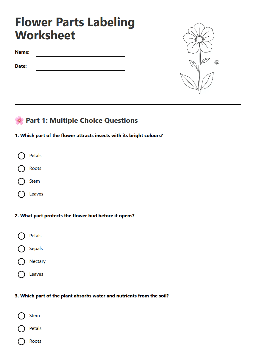 Flower Parts Labeling Worksheet worksheet preview