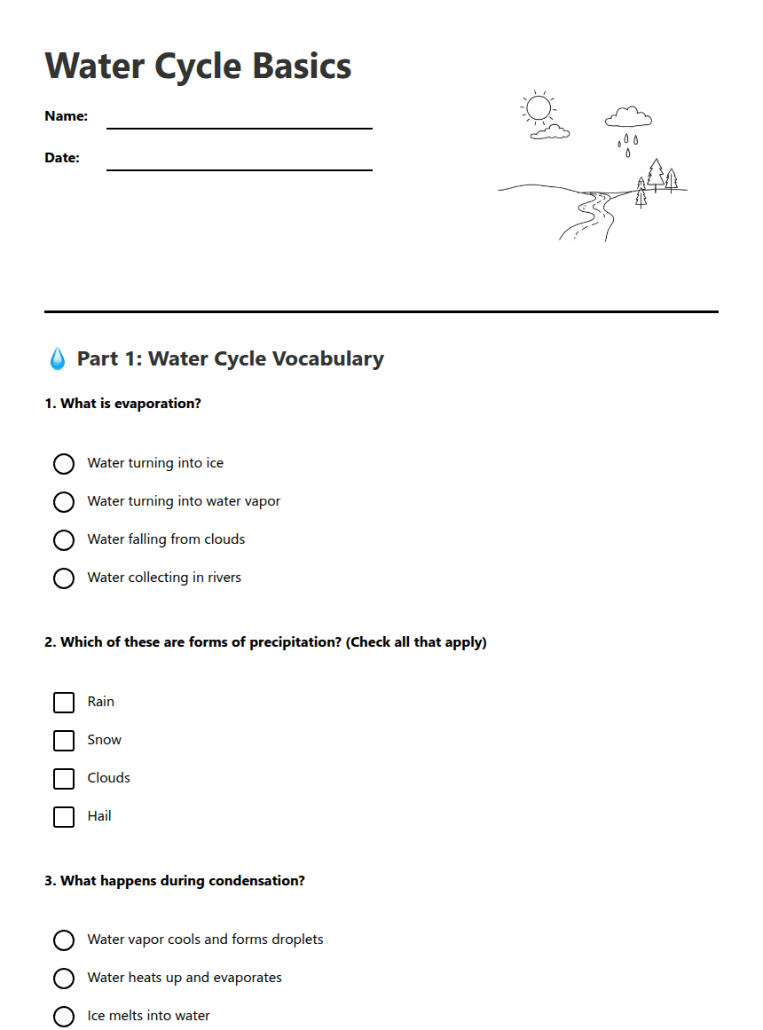 Water Cycle Basics worksheet preview