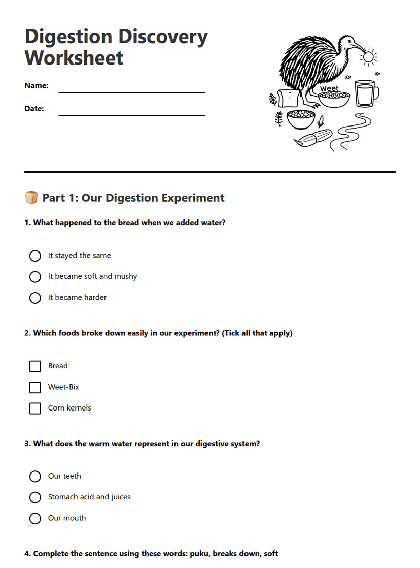 Digestion Discovery Worksheet