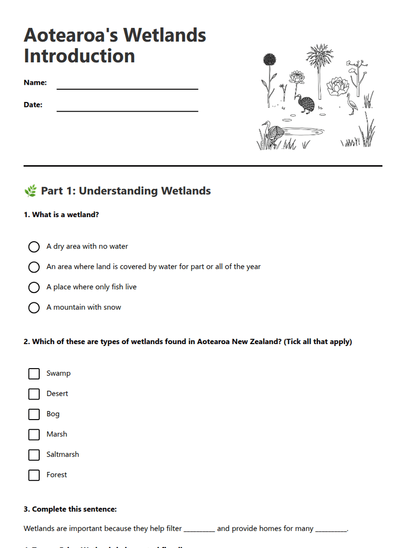 Aotearoa's Wetlands Introduction