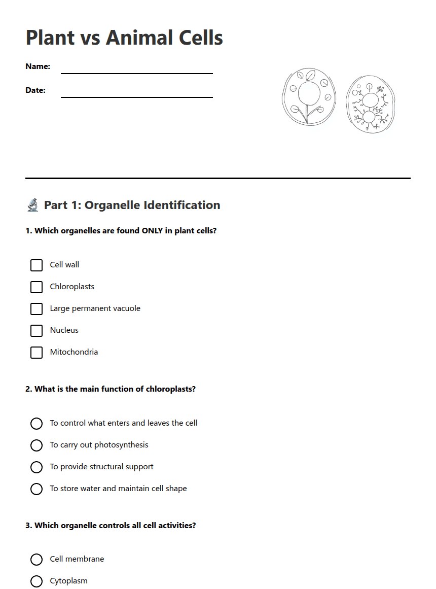 Plant vs Animal Cells worksheet preview
