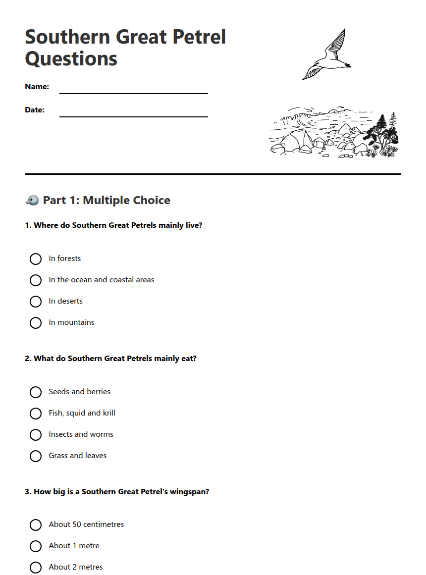 Southern Great Petrel Questions worksheet preview