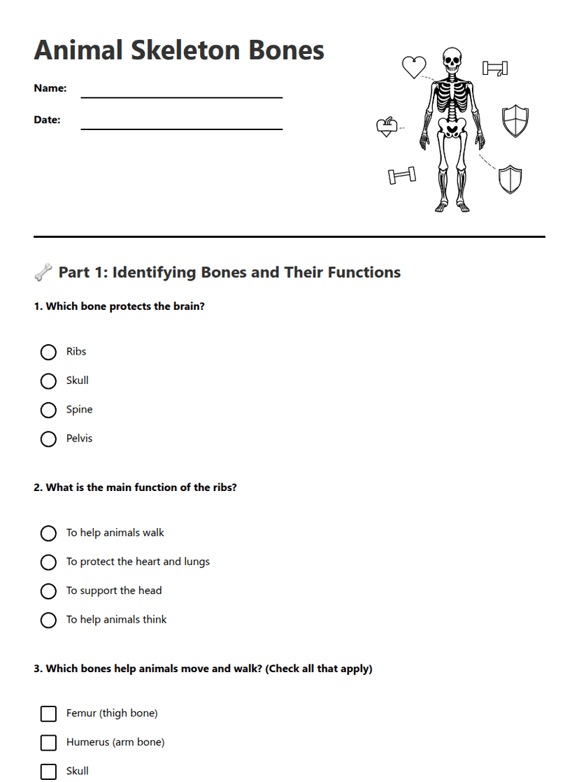 Animal Skeleton Bones