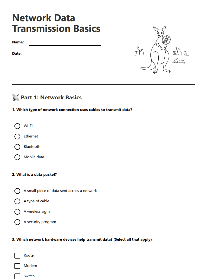 Network Data Transmission Basics worksheet preview