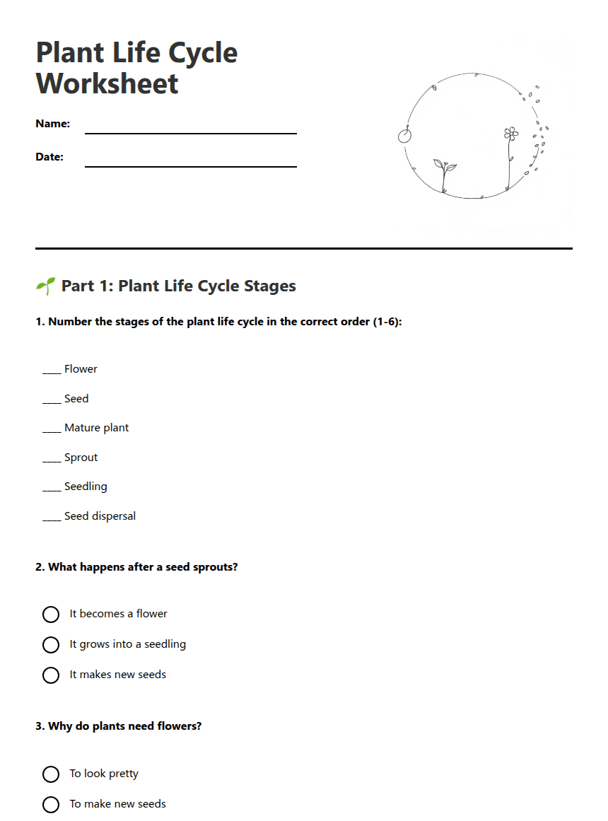 Plant Life Cycle Worksheet worksheet preview