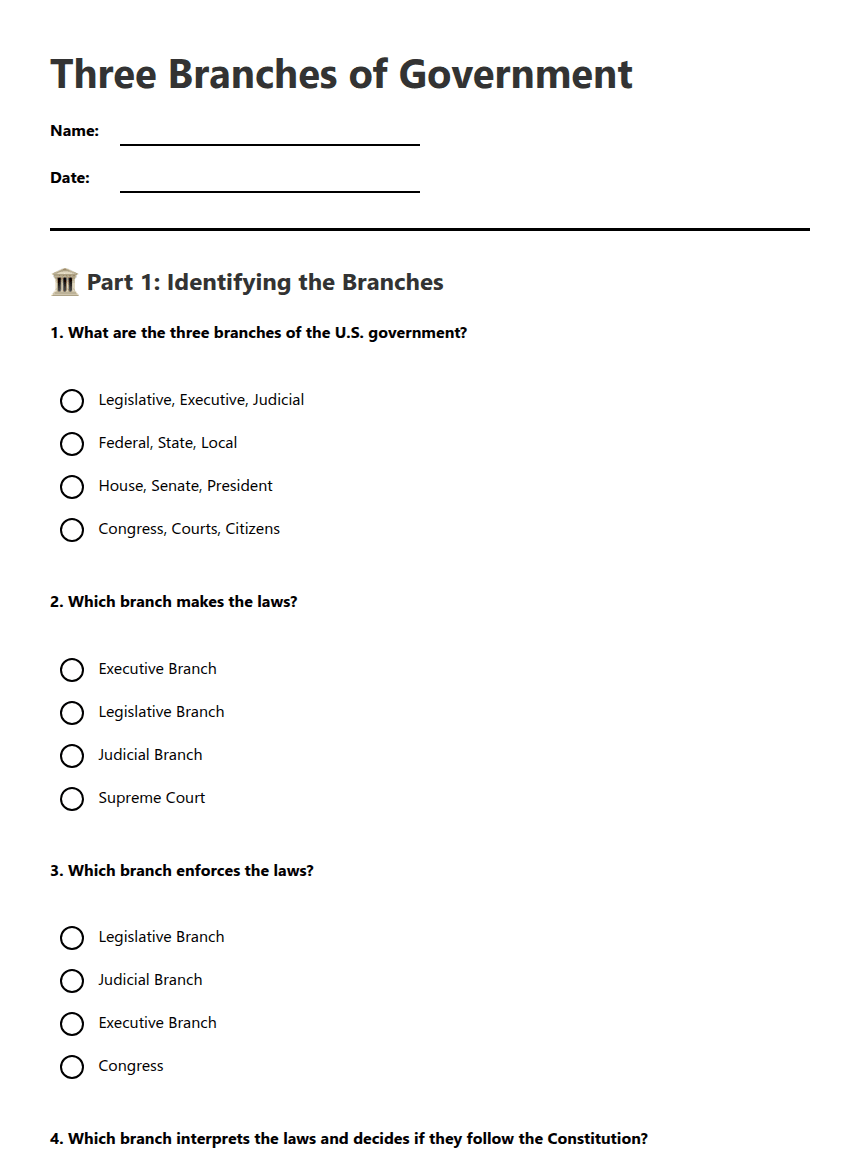 Three Branches of Government worksheet preview