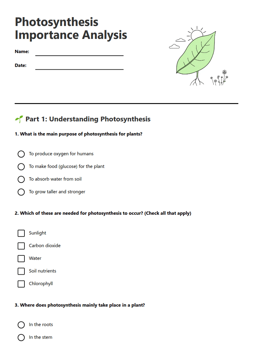 Photosynthesis Importance Analysis