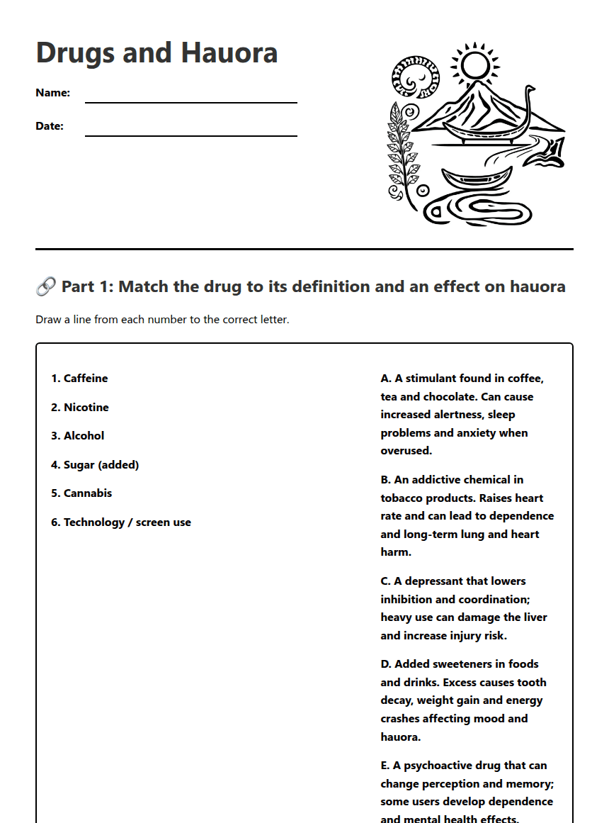 Drugs and Hauora worksheet preview