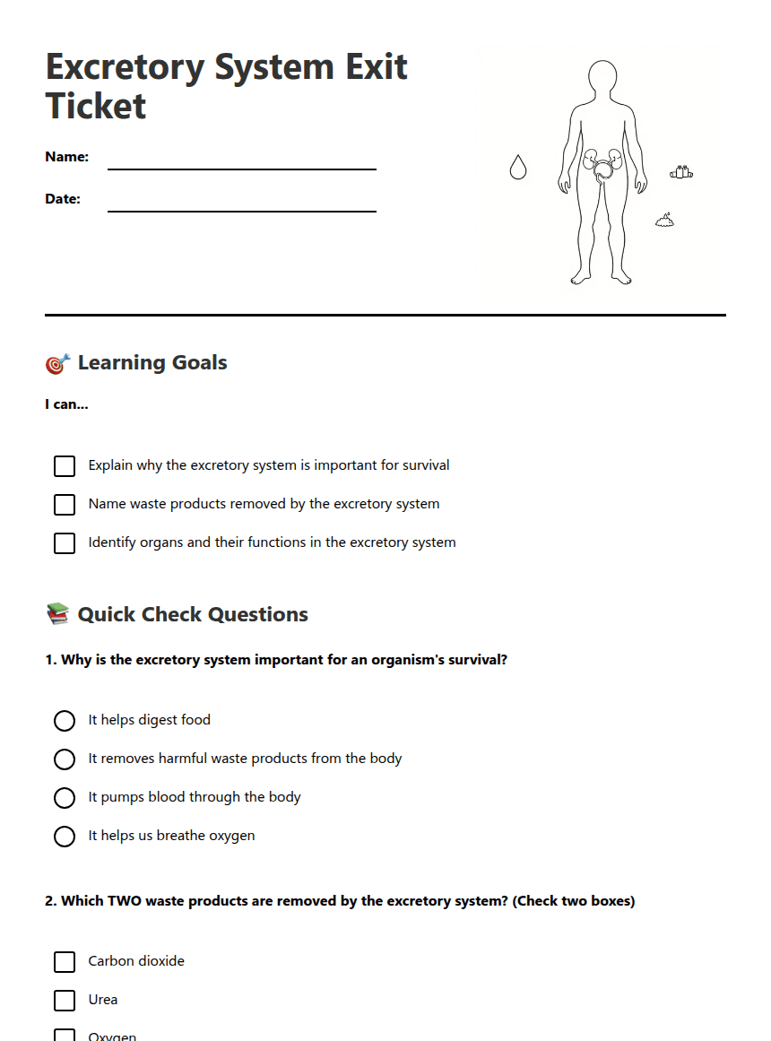 Excretory System Exit Ticket worksheet preview