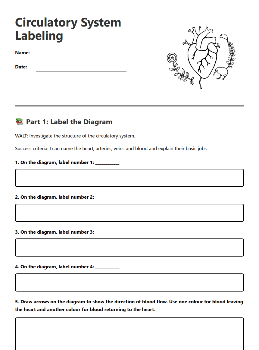 Circulatory System Labeling worksheet preview