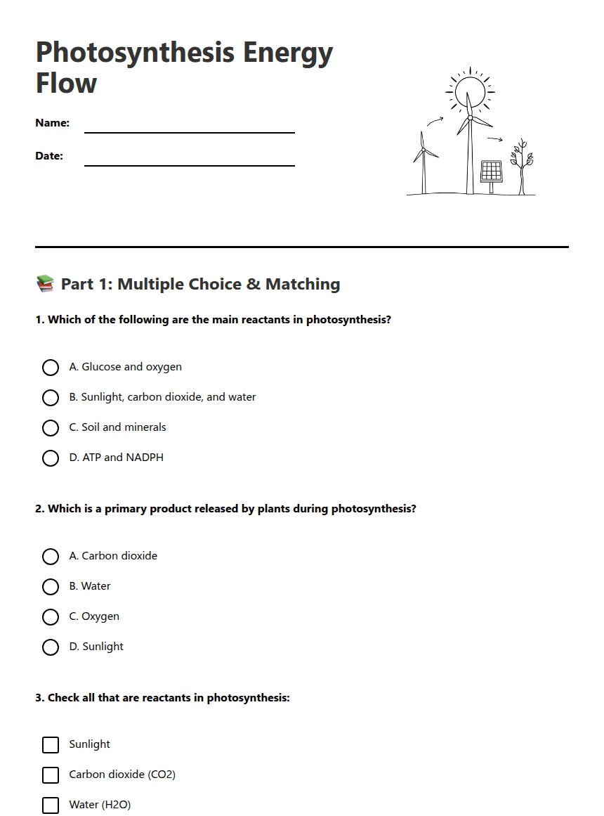 Photosynthesis Energy Flow worksheet preview
