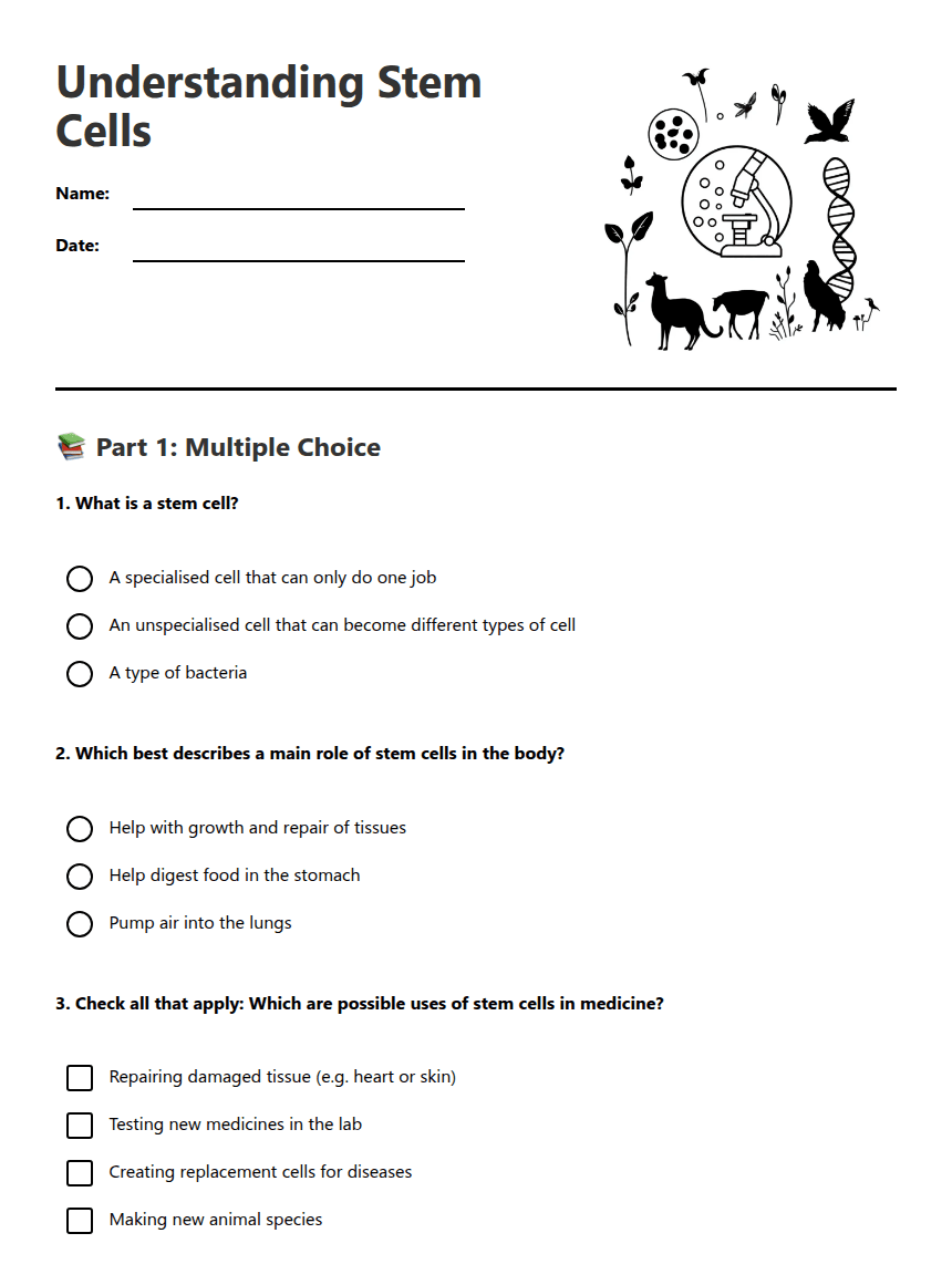 Understanding Stem Cells worksheet preview
