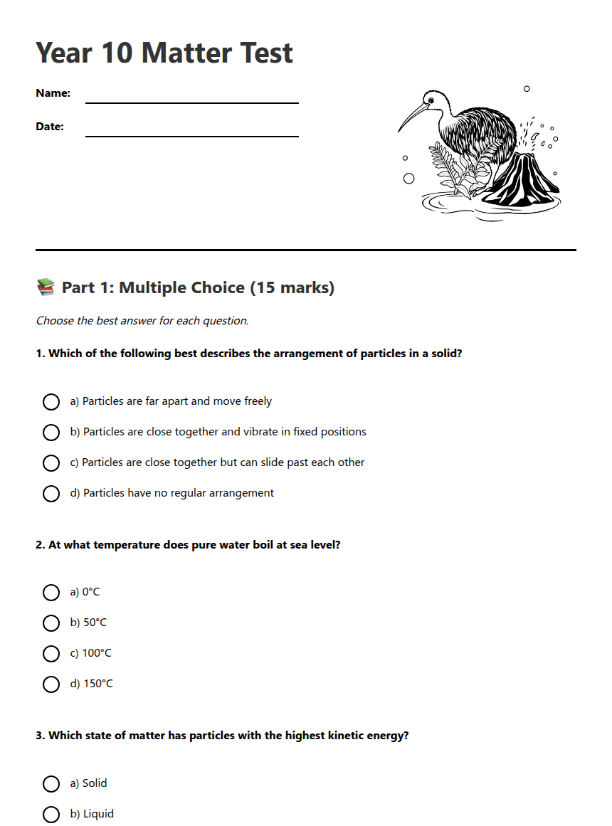 Year 10 Matter Test worksheet preview